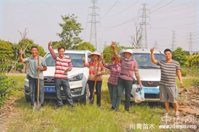 花木搬运工开着私家车揽活，一人一天能挣两三百元