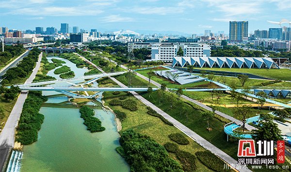 茅洲河碧道光明段，布满草丛、灌木，草植丰厚具有活力