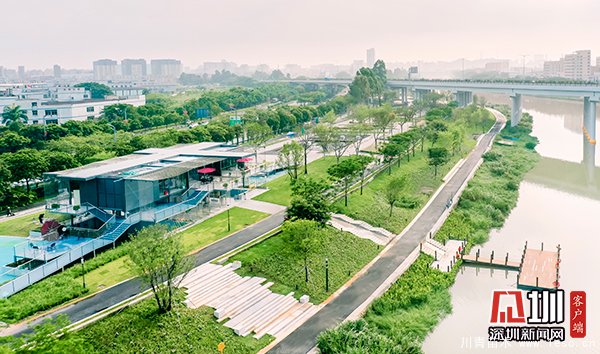 茅洲河碧道光明段，布满草丛、灌木，草植丰厚具有活力