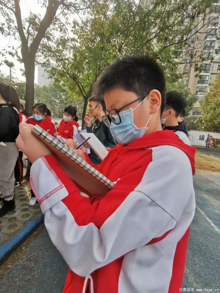 武汉导师带领初中生探究乔木的奥秘，生动的上了一课