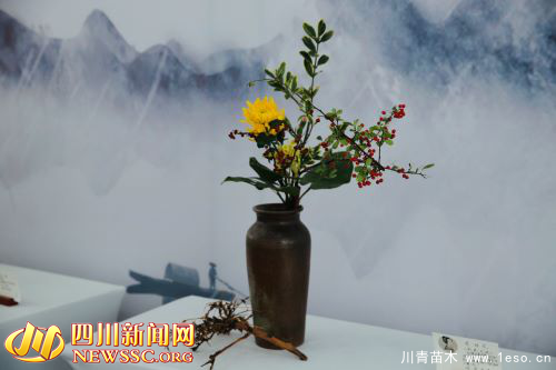 赏千姿百态 享美好周末 第二届成都国际花博会在温江开幕