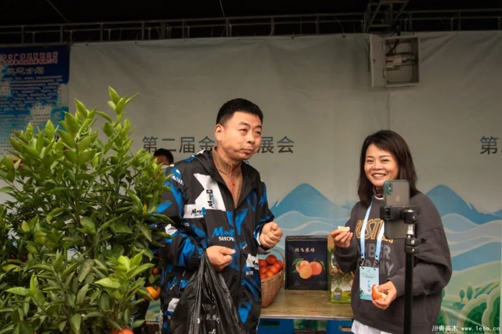 第十八届中国金华花卉苗木交易会三大亮点，带你上“云”