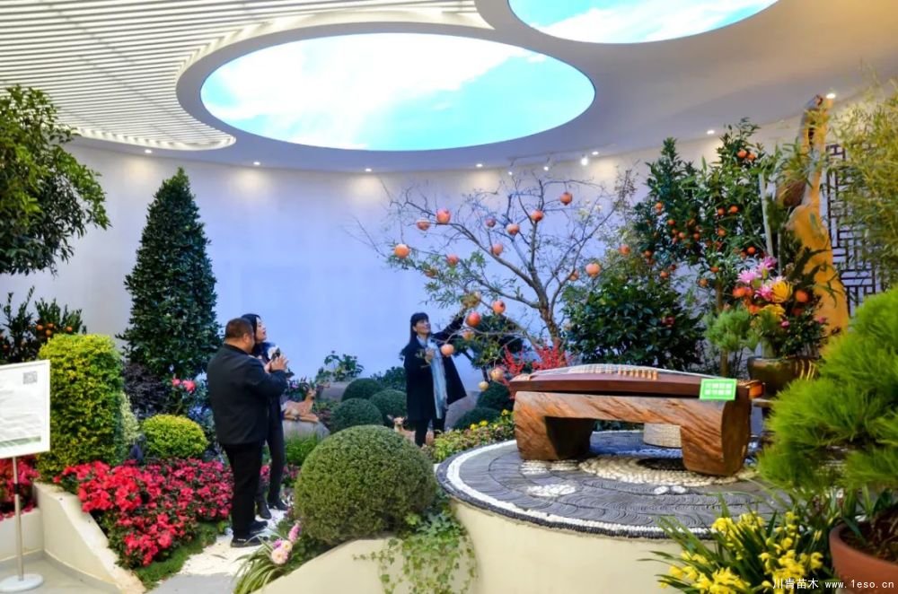 第十八届中国金华花卉苗木交易会三大亮点，带你上“云”